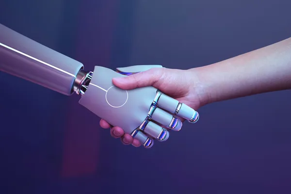 Custom AI Integration Public Sector Systems