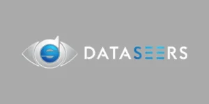 dataseers.ai-logo